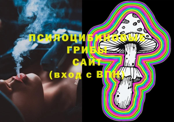 прущие крисы Армянск